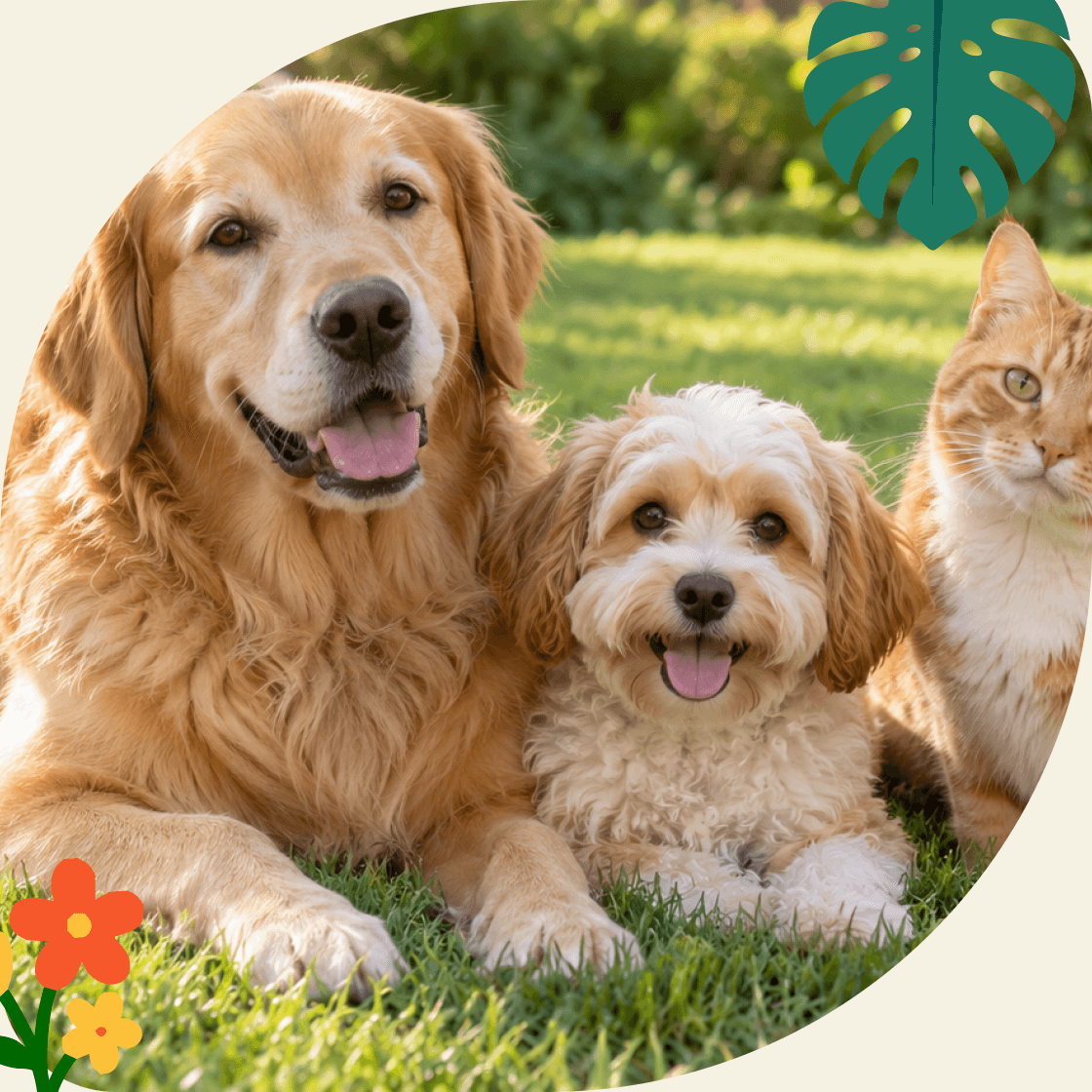 Een golden retriever, een pluizige puppy en een rosse kat liggen samen in het gras